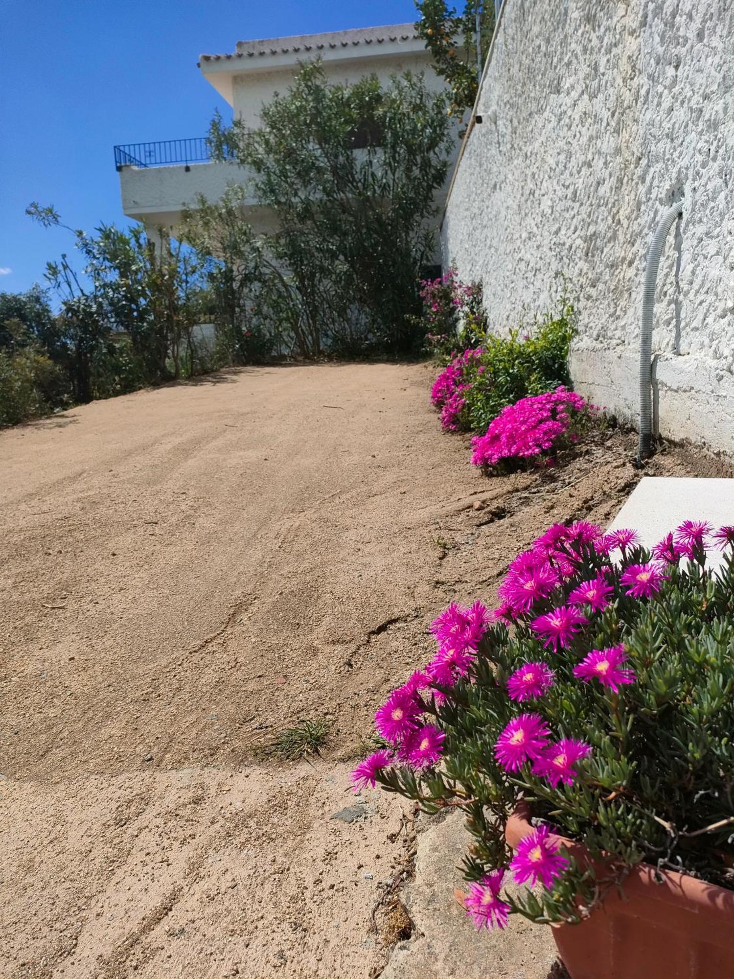 La Terrazza Sull'alba Holiday home *